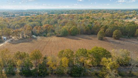 Tbd County Road 1440 Bogata TX 75417
