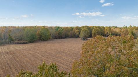 Tbd County Road 1440 Bogata TX 75417
