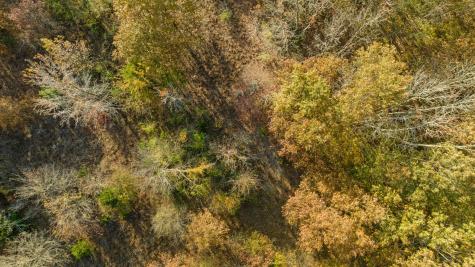 Tbd County Road 1440 Bogata TX 75417
