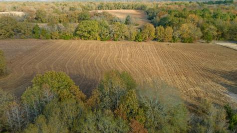 Tbd County Road 1440 Bogata TX 75417