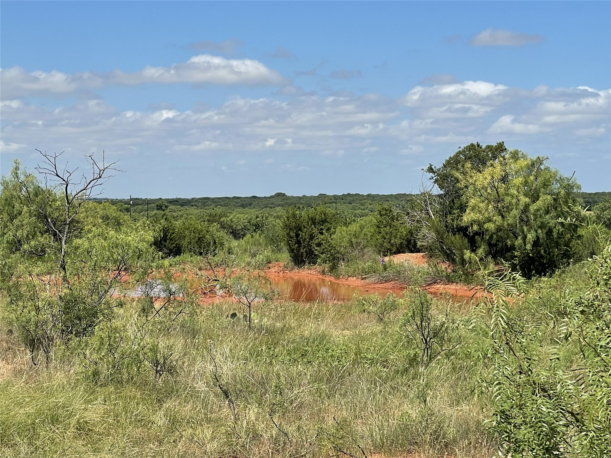 2221 Lemons Gap Road Ovalo TX 79541