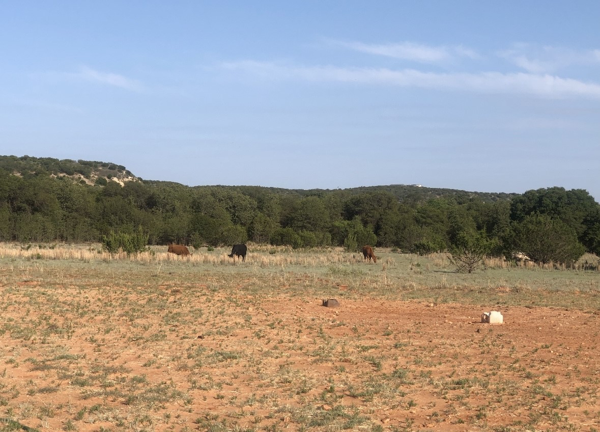 2221 Lemons Gap Road Ovalo TX 79541