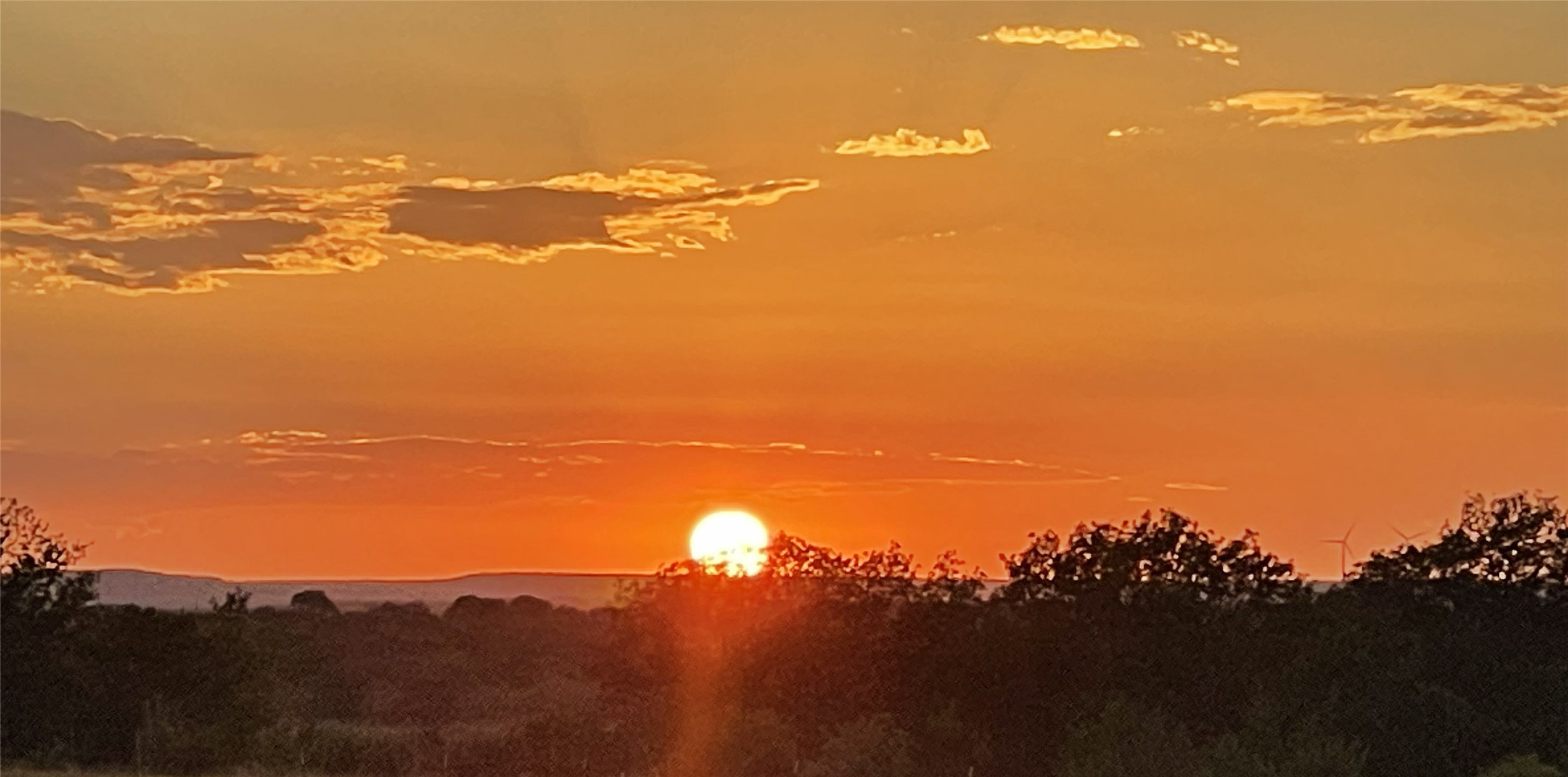 2221 Lemons Gap Road Ovalo TX 79541