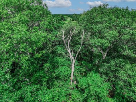 Tbd Vz County Road 3706 Edgewood TX 75117