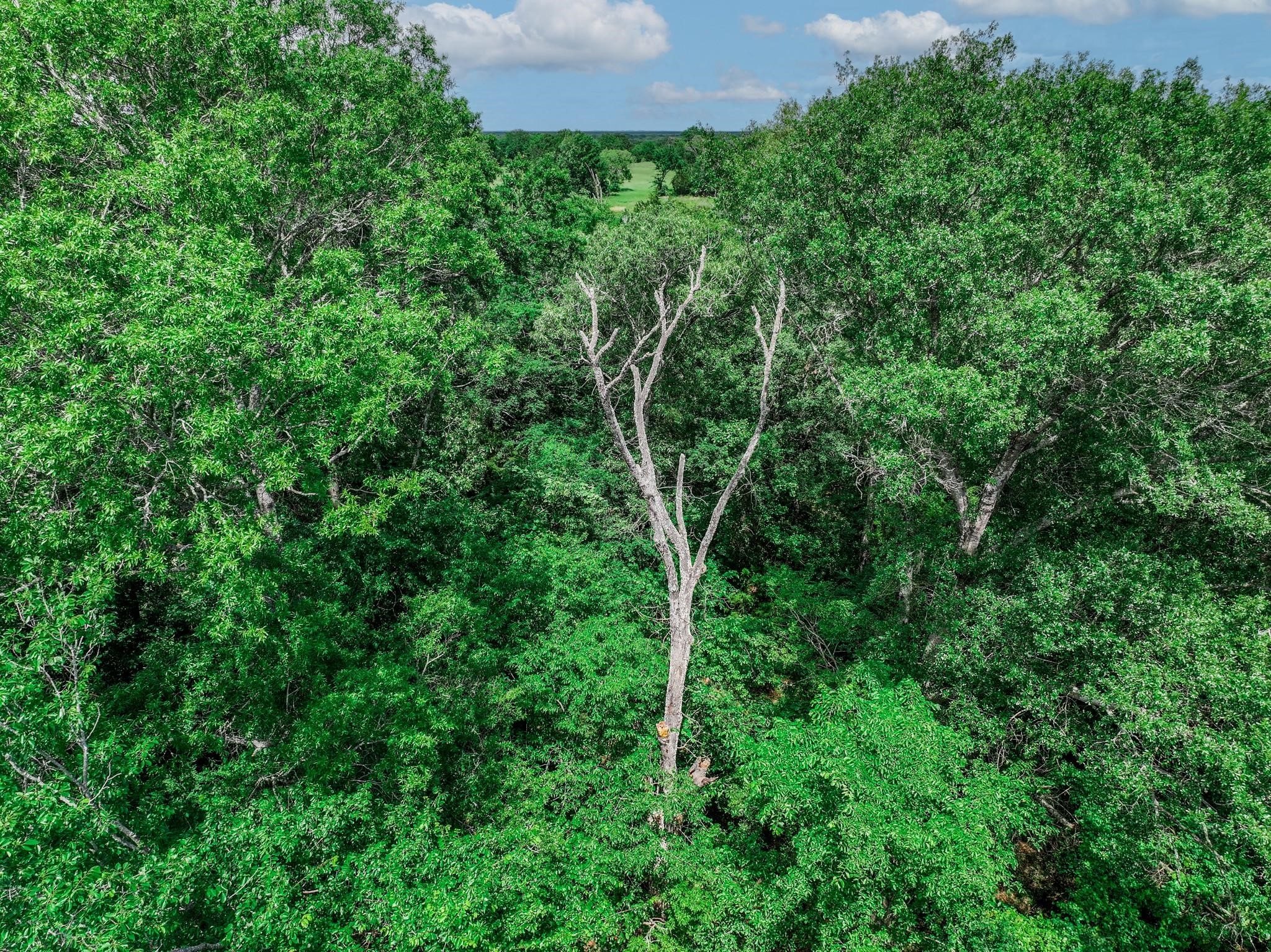 Tbd Vz County Road 3706 Edgewood TX 75117