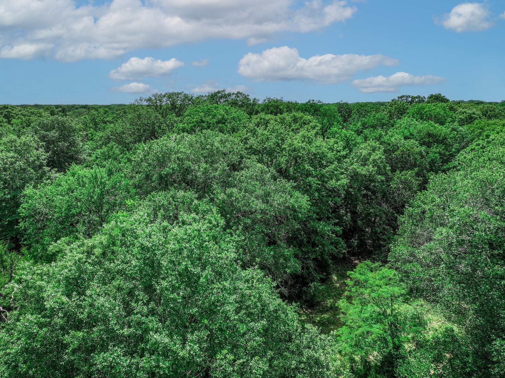 Tbd Vz County Road 3706 Edgewood TX 75117