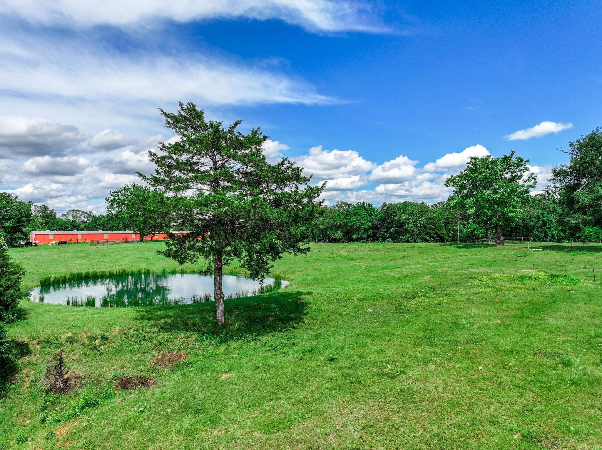Tbd Vz County Road 3706 Edgewood TX 75117