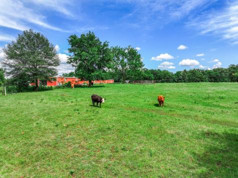 Tbd Vz County Road 3706 Edgewood TX 75117