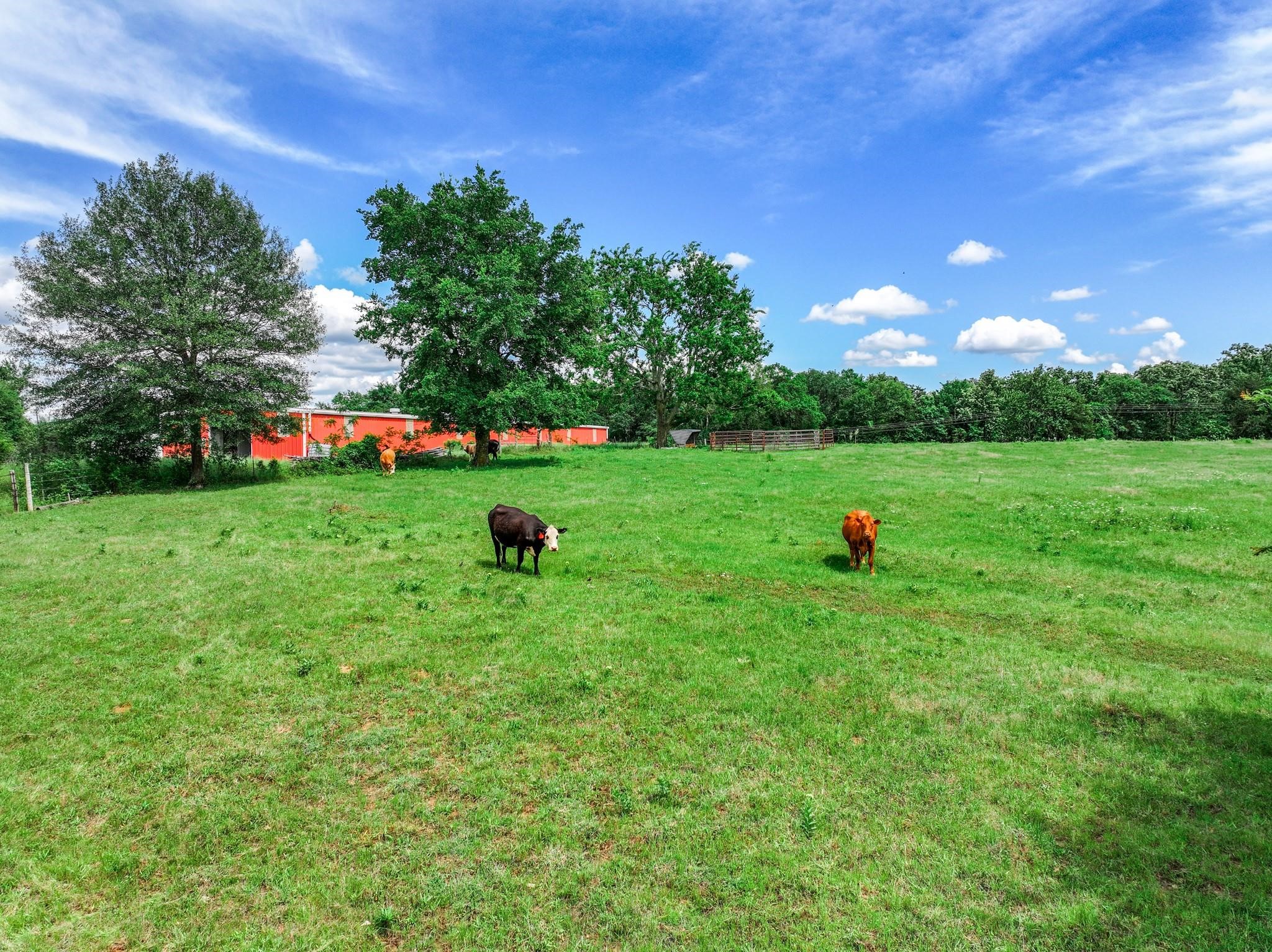 Tbd Vz County Road 3706 Edgewood TX 75117