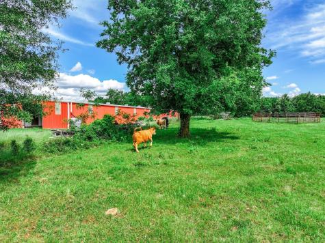 Tbd Vz County Road 3706 Edgewood TX 75117
