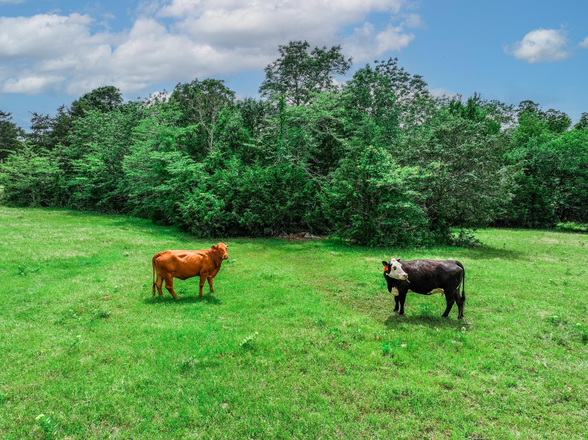 Tbd Vz County Road 3706 Edgewood TX 75117