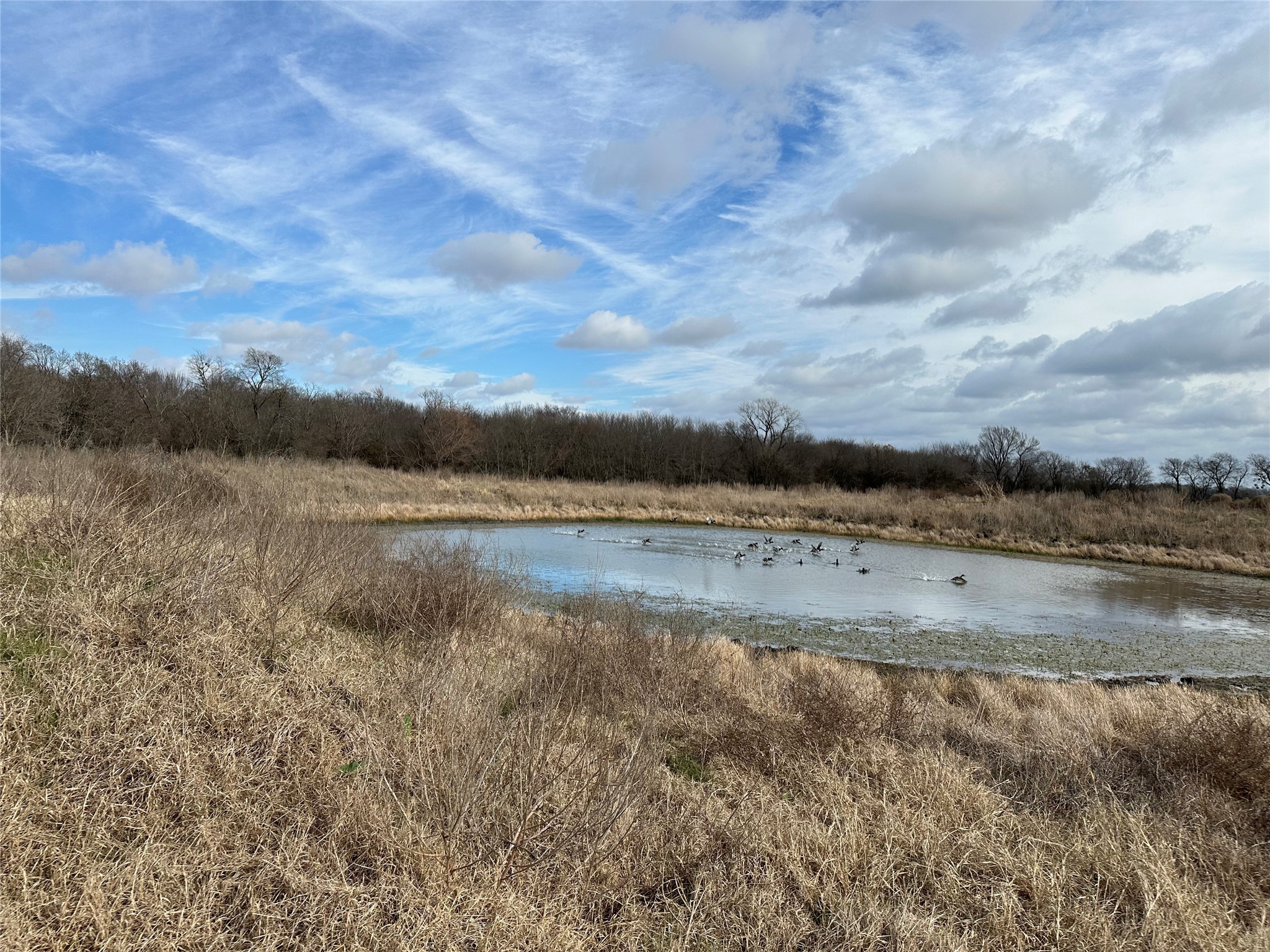 2129 County Road 2130 Cooper TX 75432