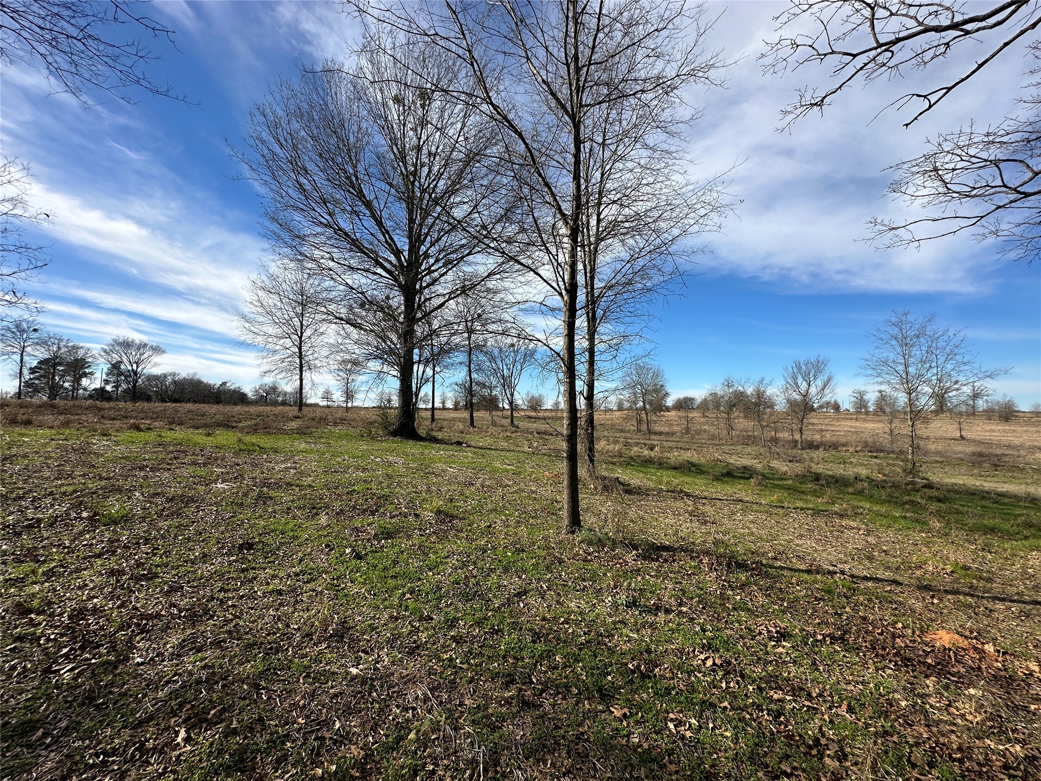 0000 County Road 2425 Como TX 75431