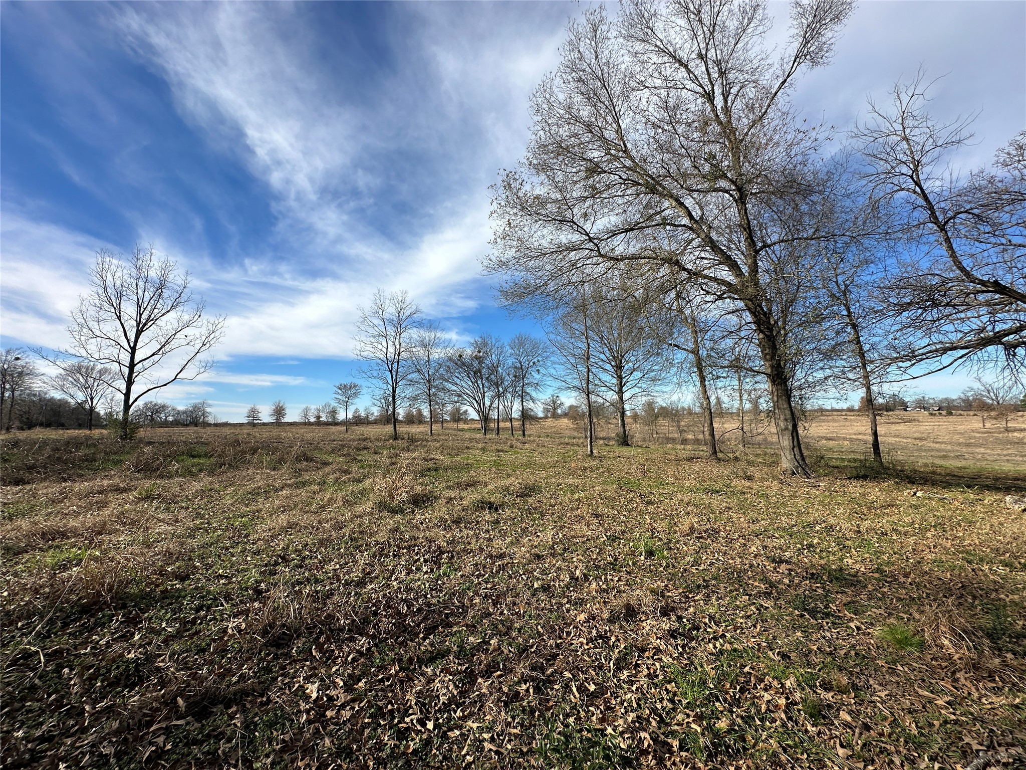 0000 County Road 2425 Como TX 75431