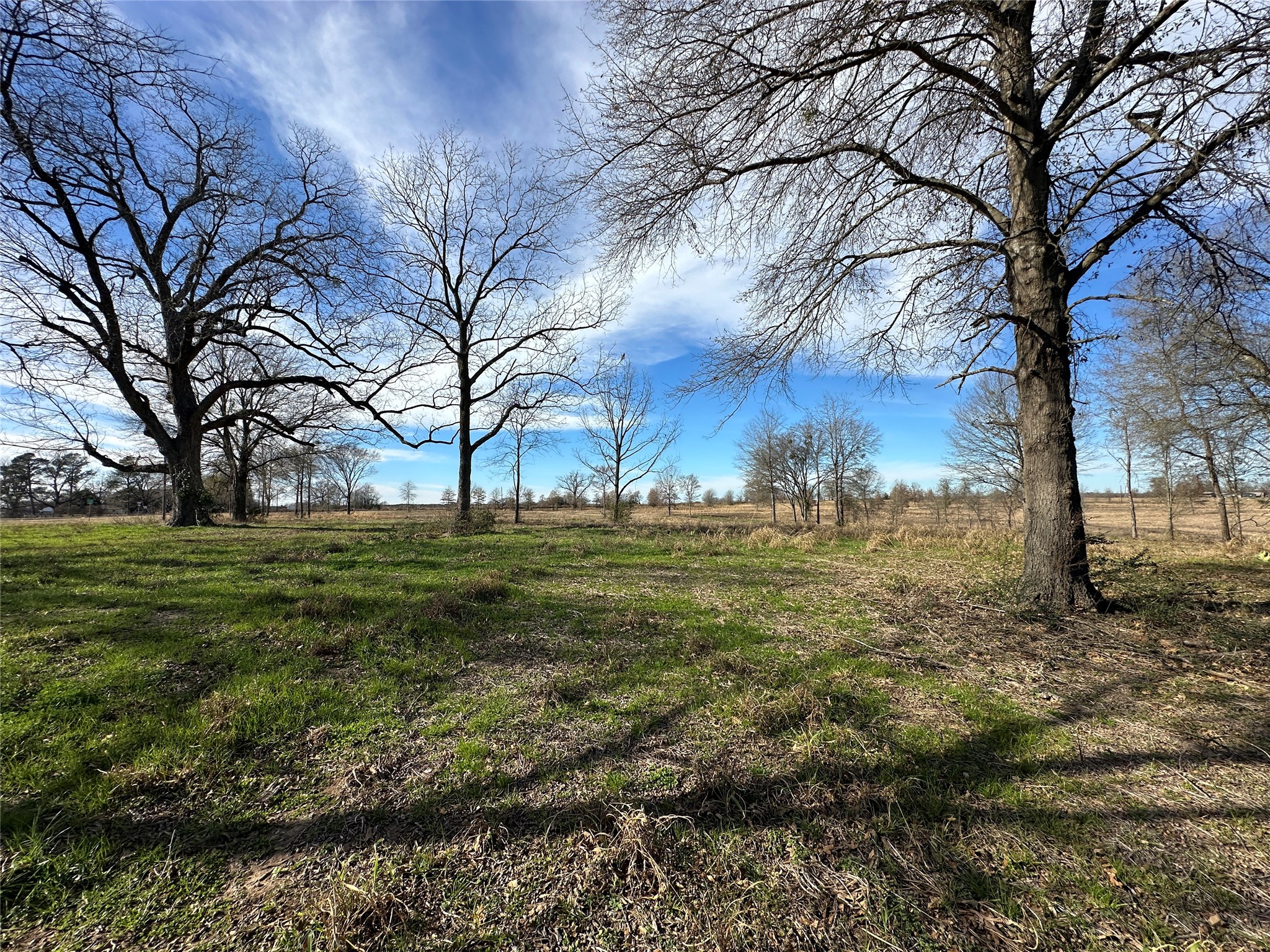 0000 County Road 2425 Como TX 75431