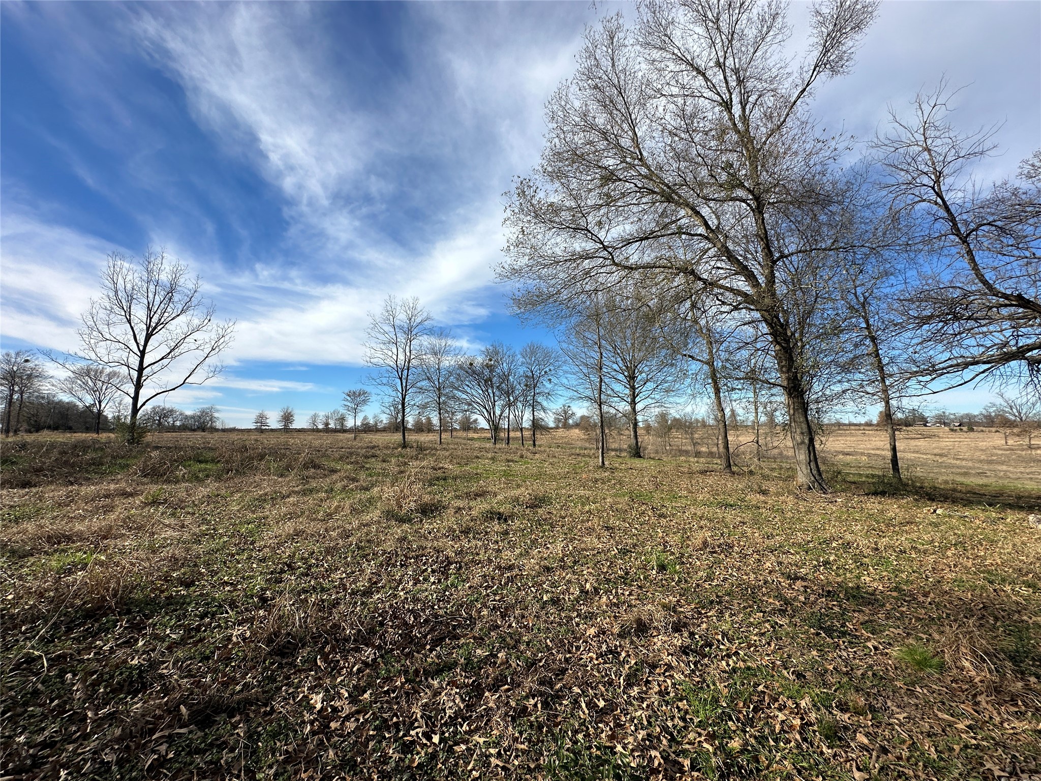 0000 County Road 2425 Como TX 75431
