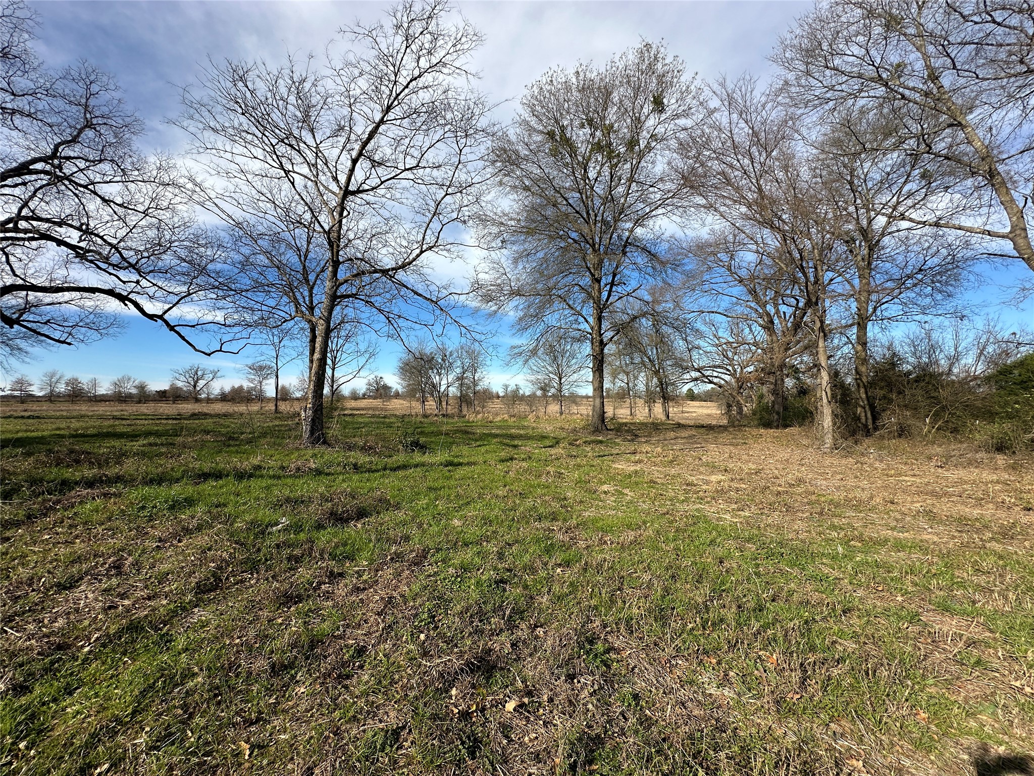 0000 County Road 2425 Como TX 75431