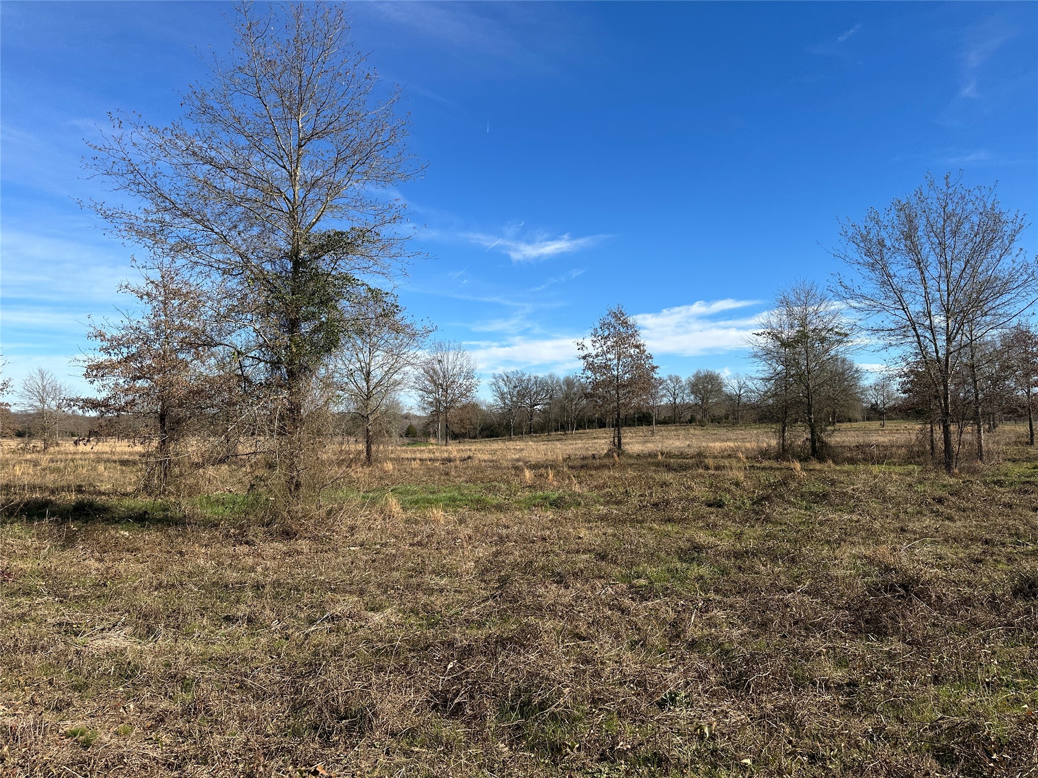 0000 County Road 2425 Como TX 75431