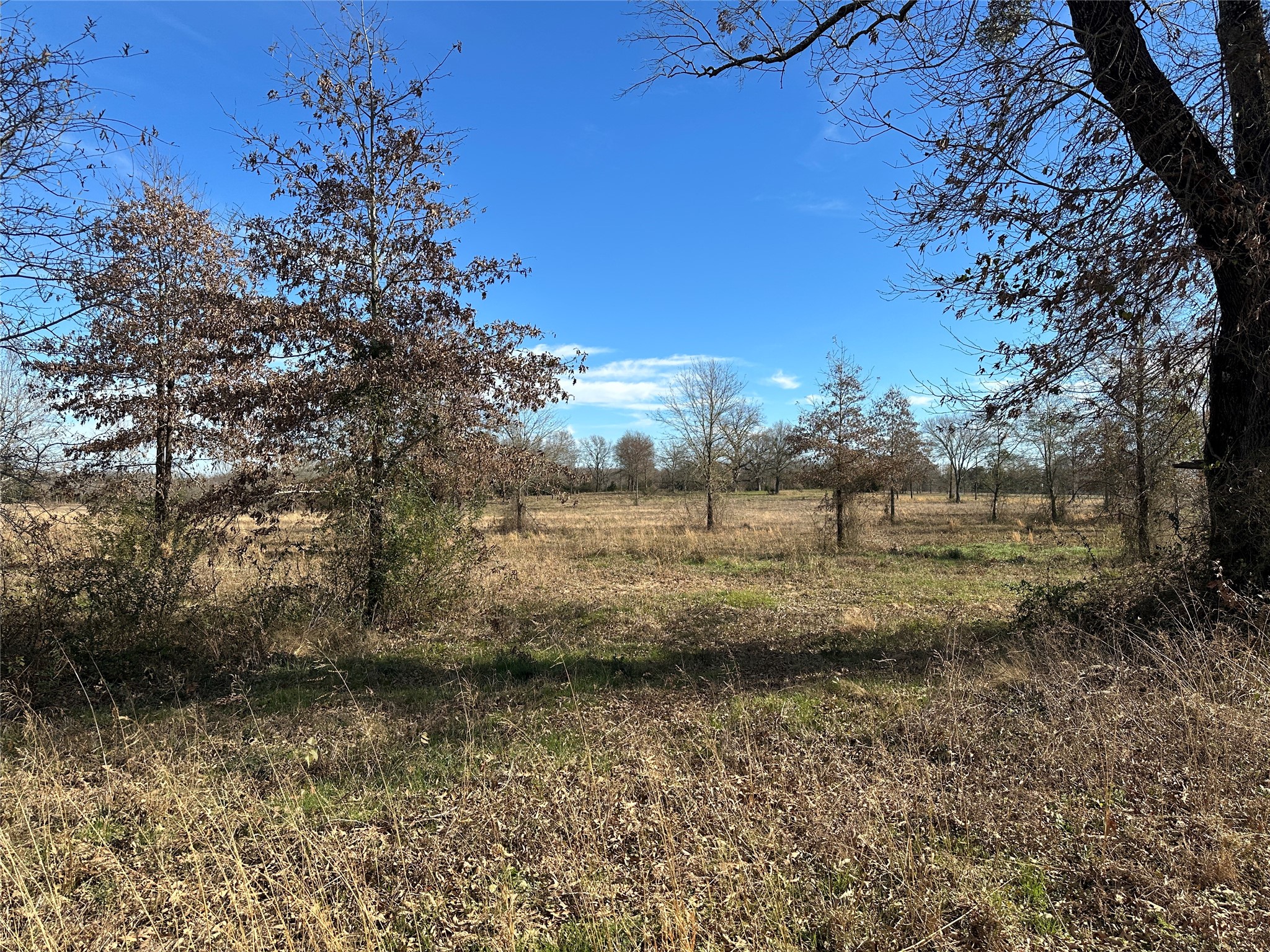 0000 County Road 2425 Como TX 75431