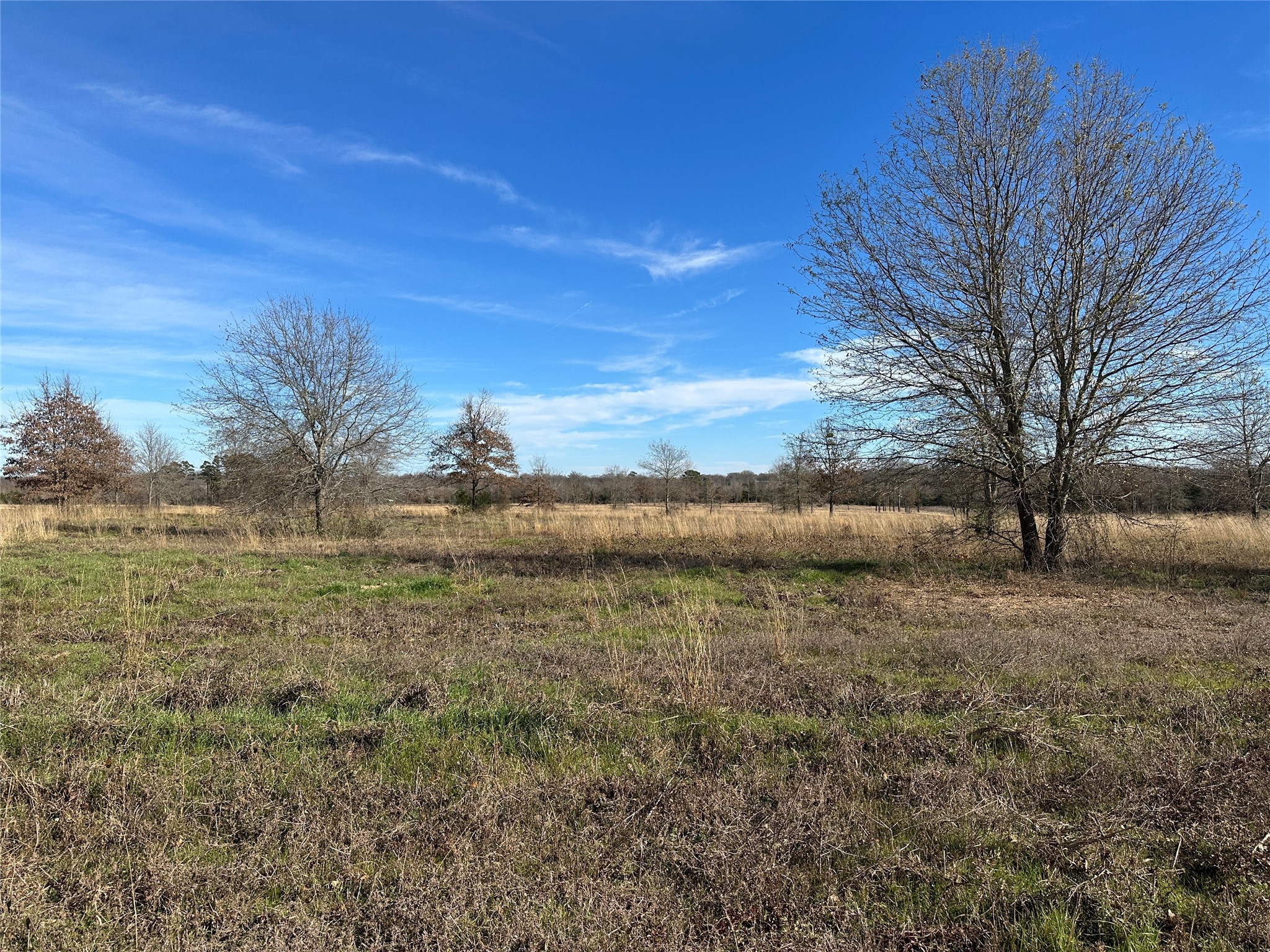 0000 County Road 2425 Como TX 75431