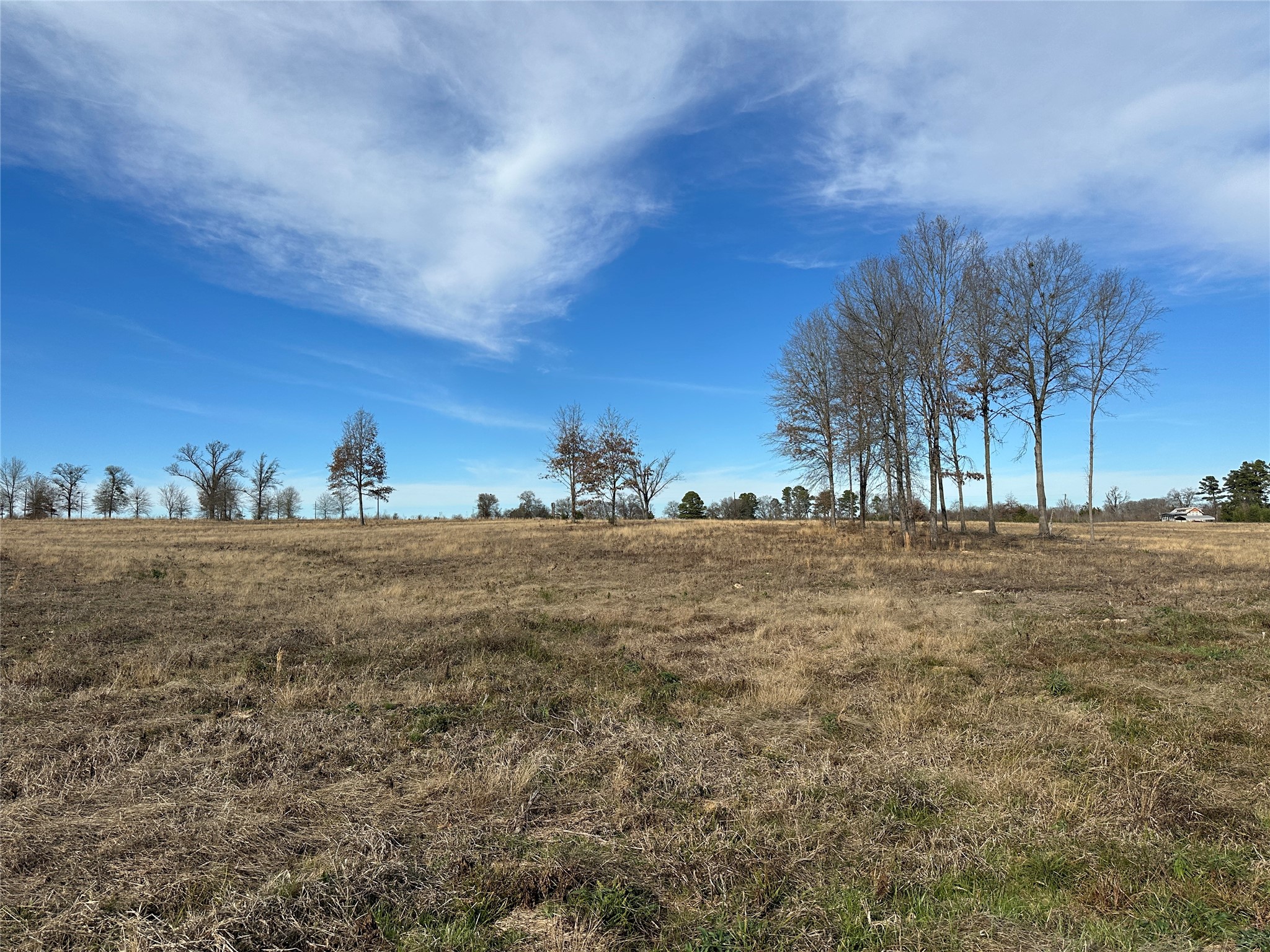 0000 County Road 2425 Como TX 75431