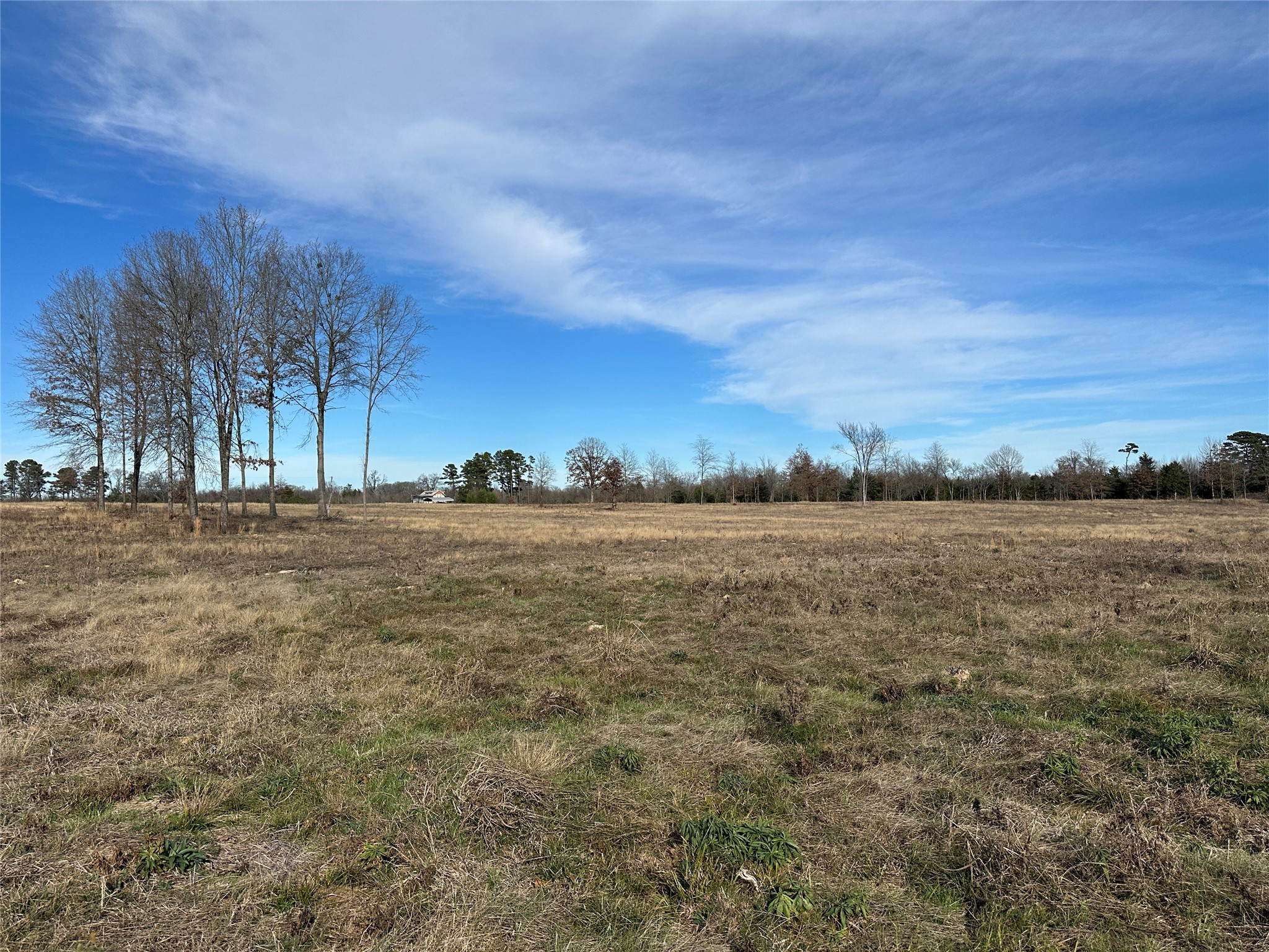 0000 County Road 2425 Como TX 75431