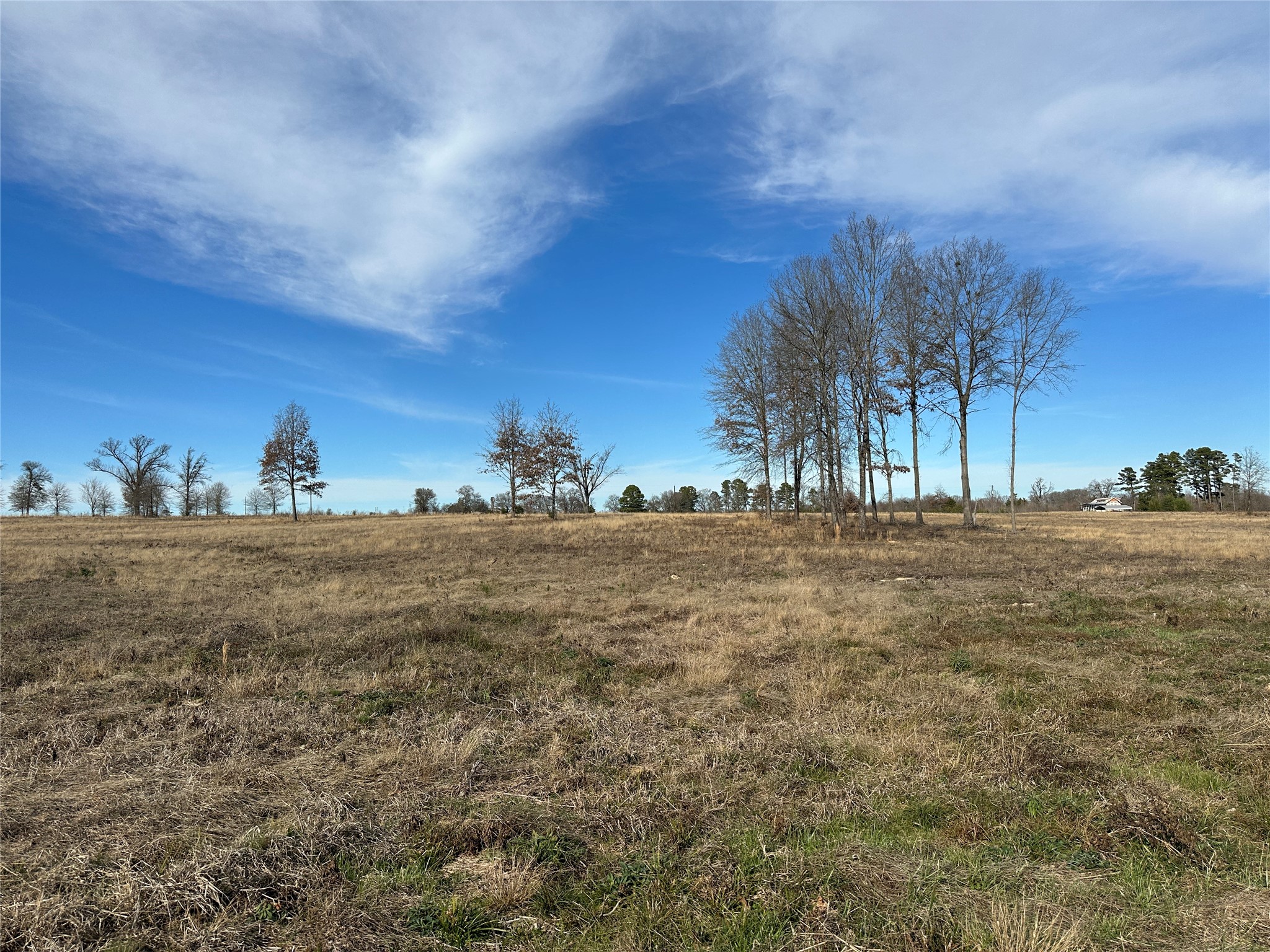 0000 County Road 2425 Como TX 75431