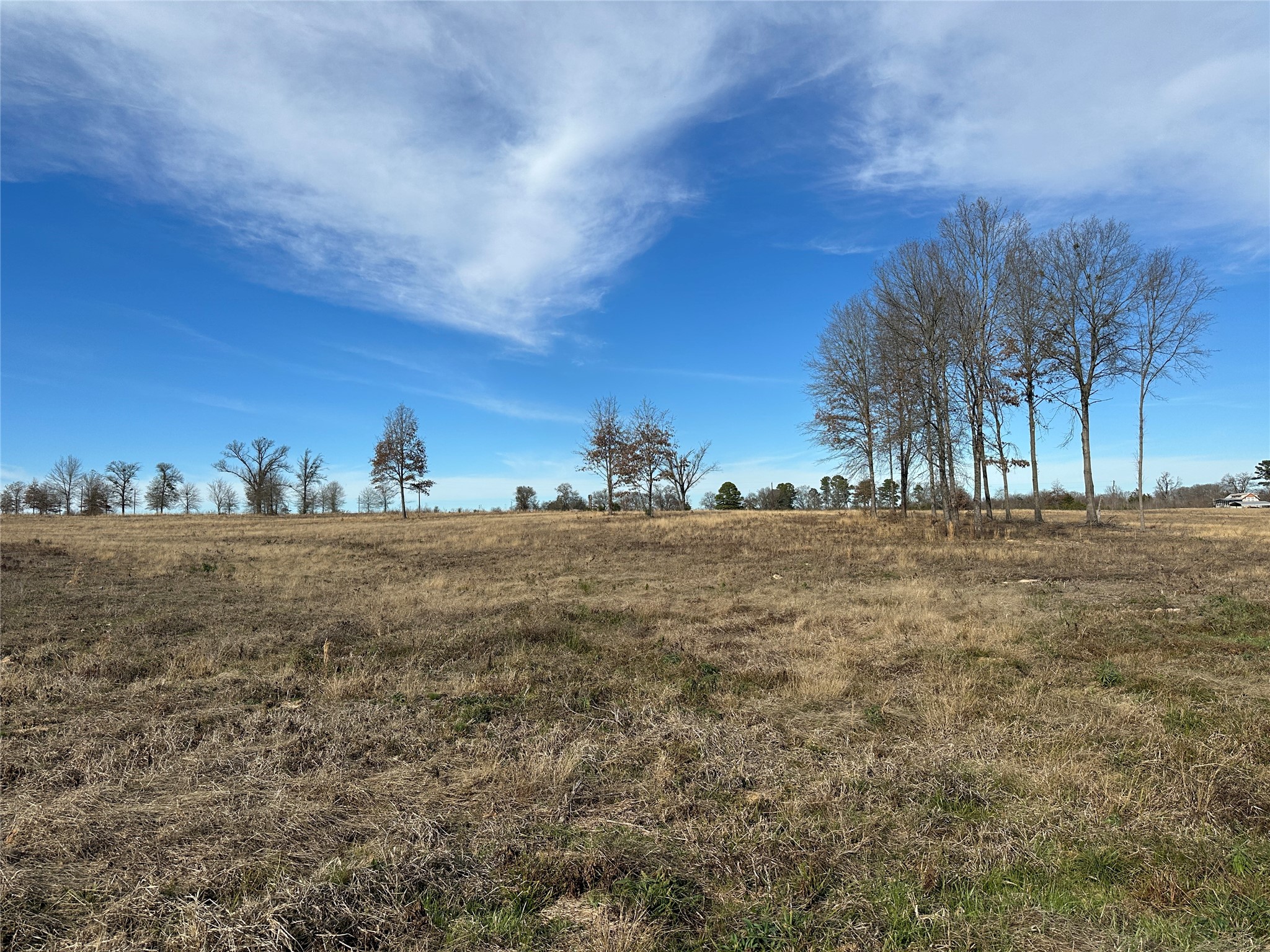 0000 County Road 2425 Como TX 75431