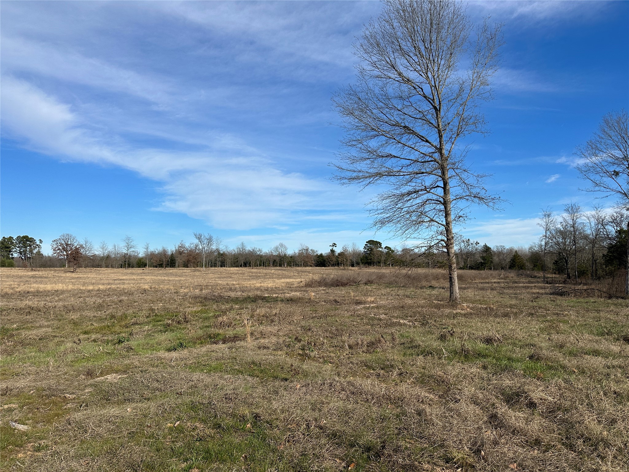 0000 County Road 2425 Como TX 75431