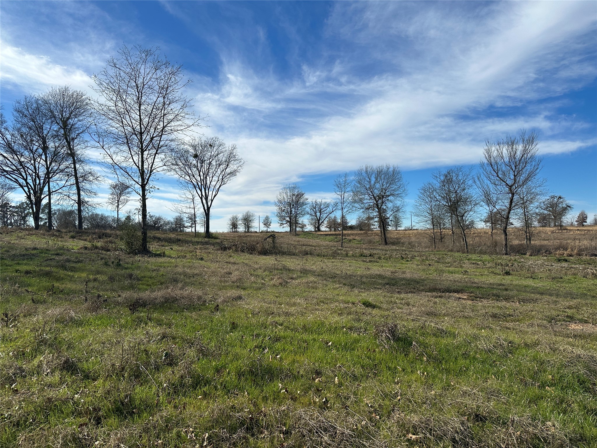 0000 County Road 2425 Como TX 75431