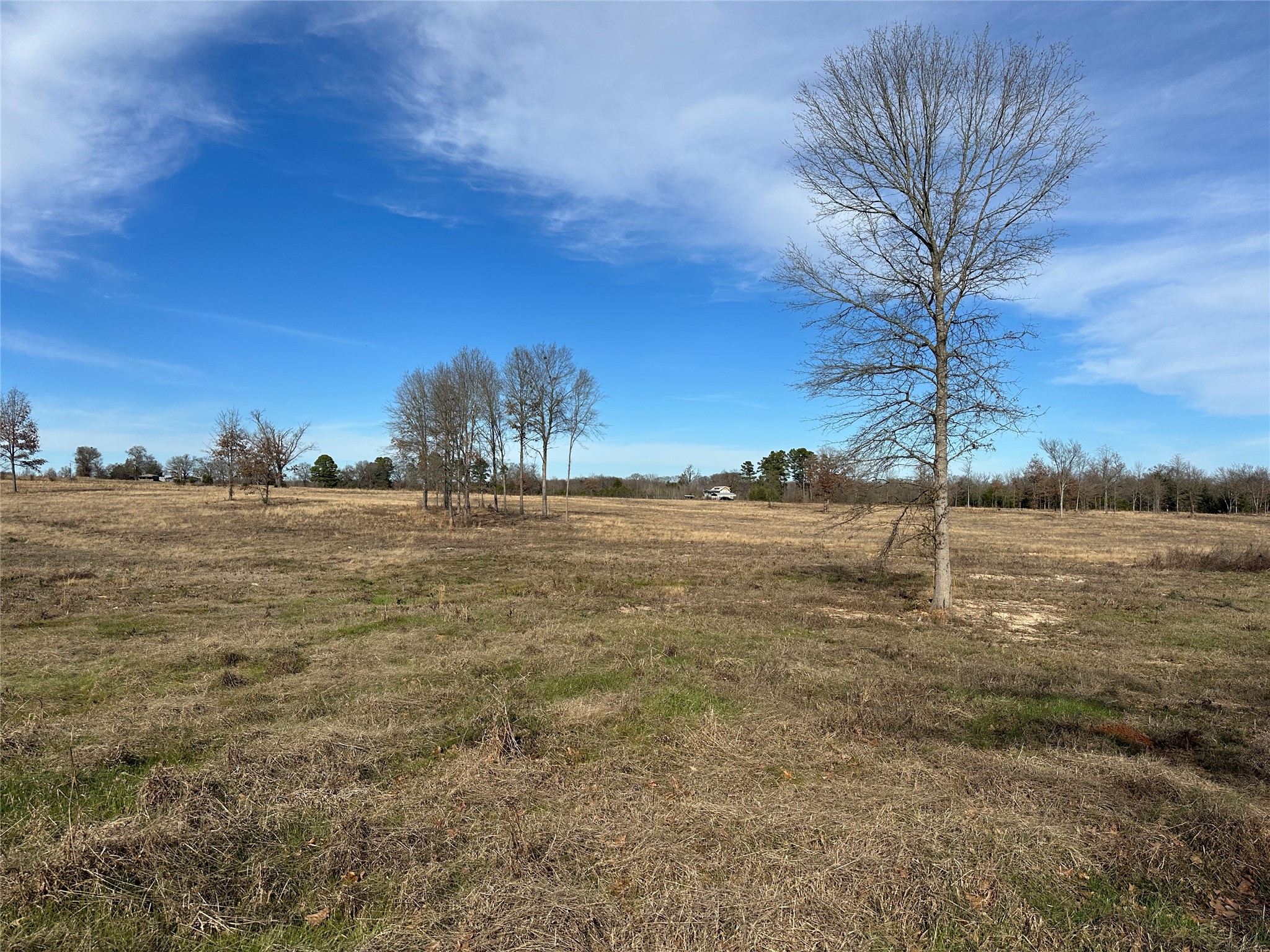 0000 County Road 2425 Como TX 75431