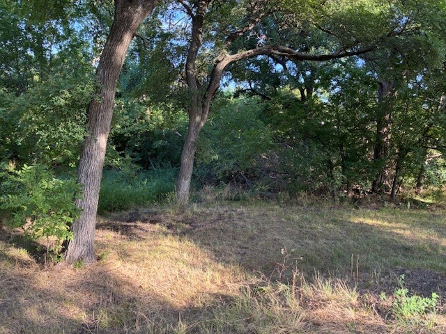 6009 President George Bush Highway Rowlett TX 75089