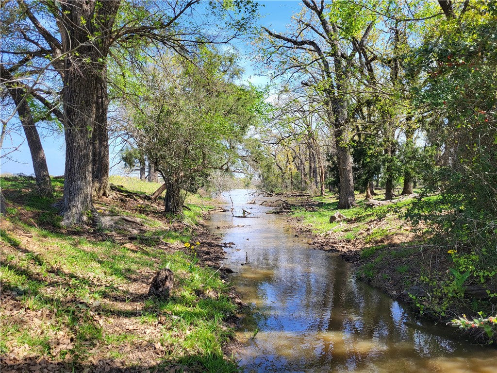 93.4 Ac Lcr 862 Donie TX 75838