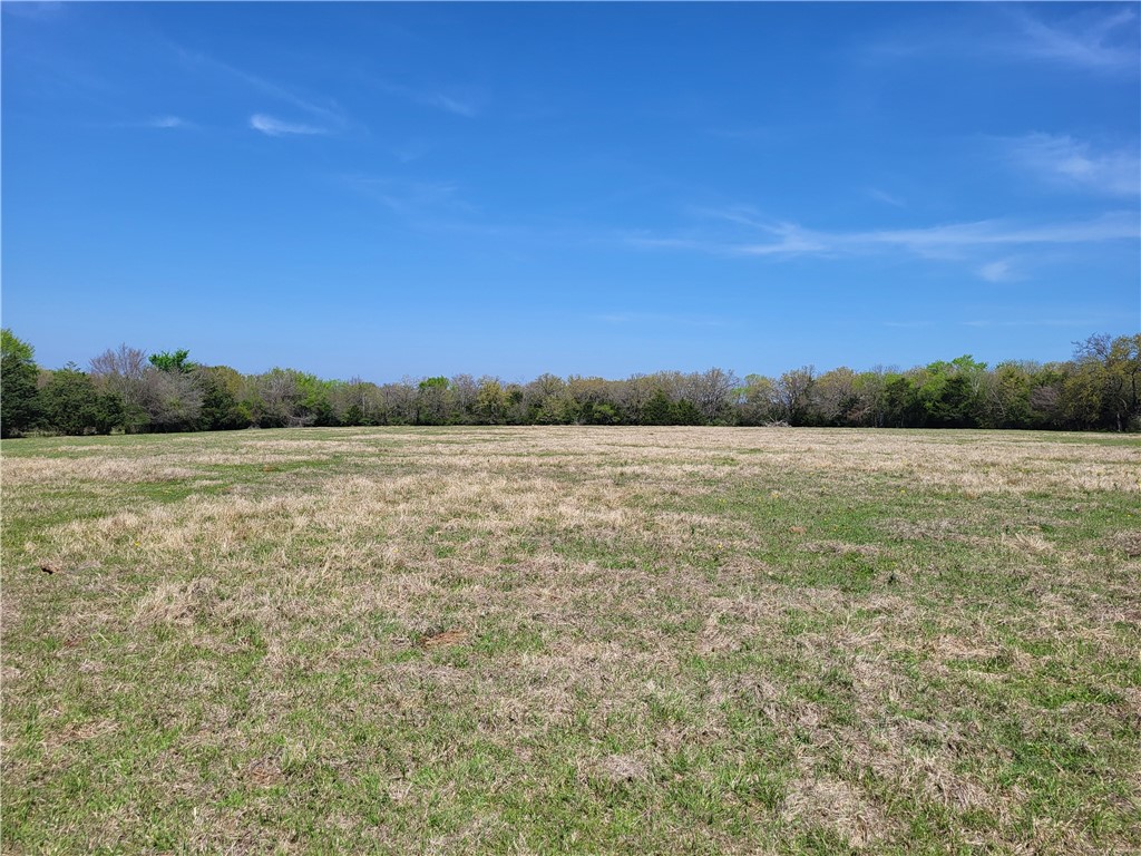 93.4 Ac Lcr 862 Donie TX 75838