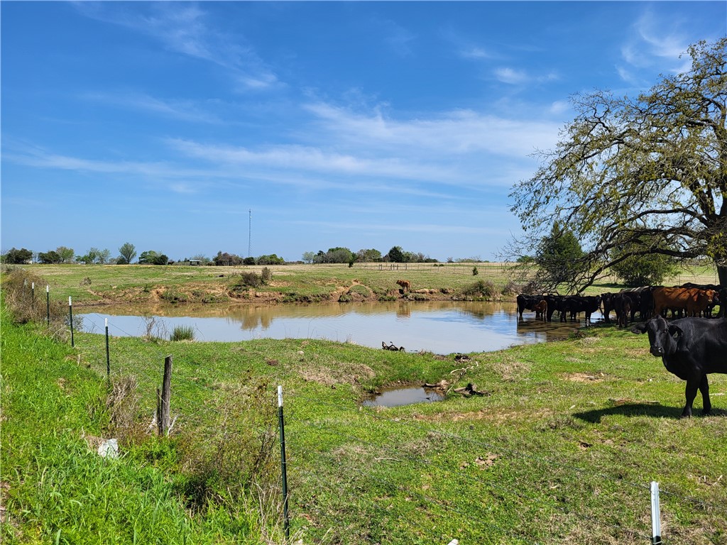 93.4 Ac Lcr 862 Donie TX 75838