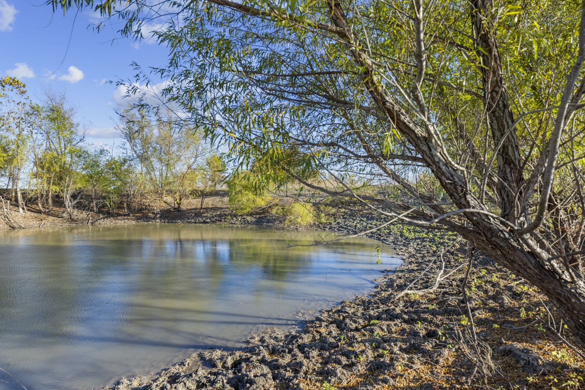 Tbd Krause Road Holland TX 76534