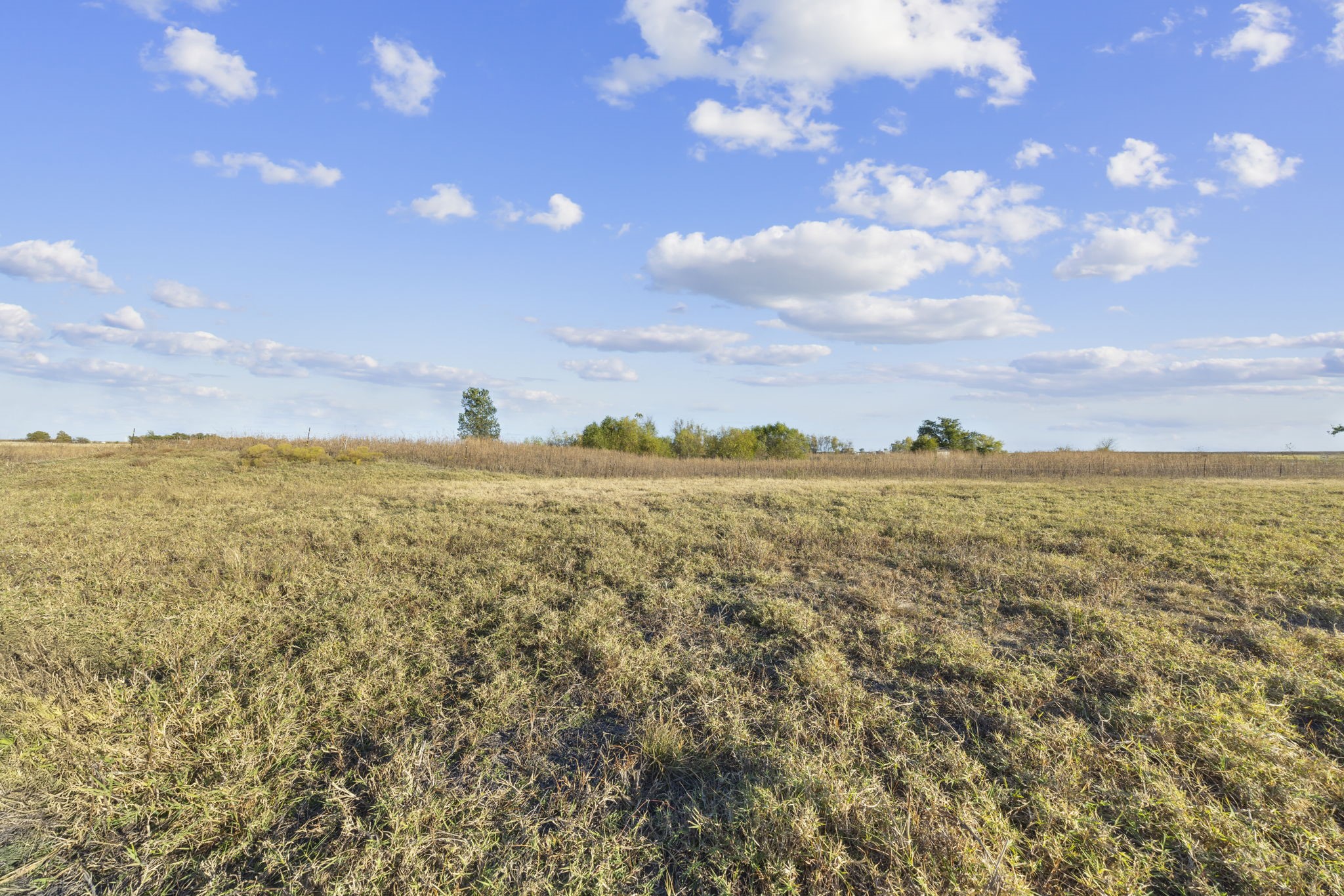 Tbd Krause Road Holland TX 76534