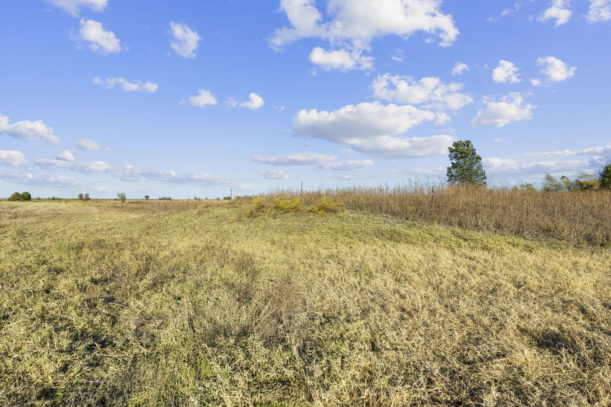 Tbd Krause Road Holland TX 76534