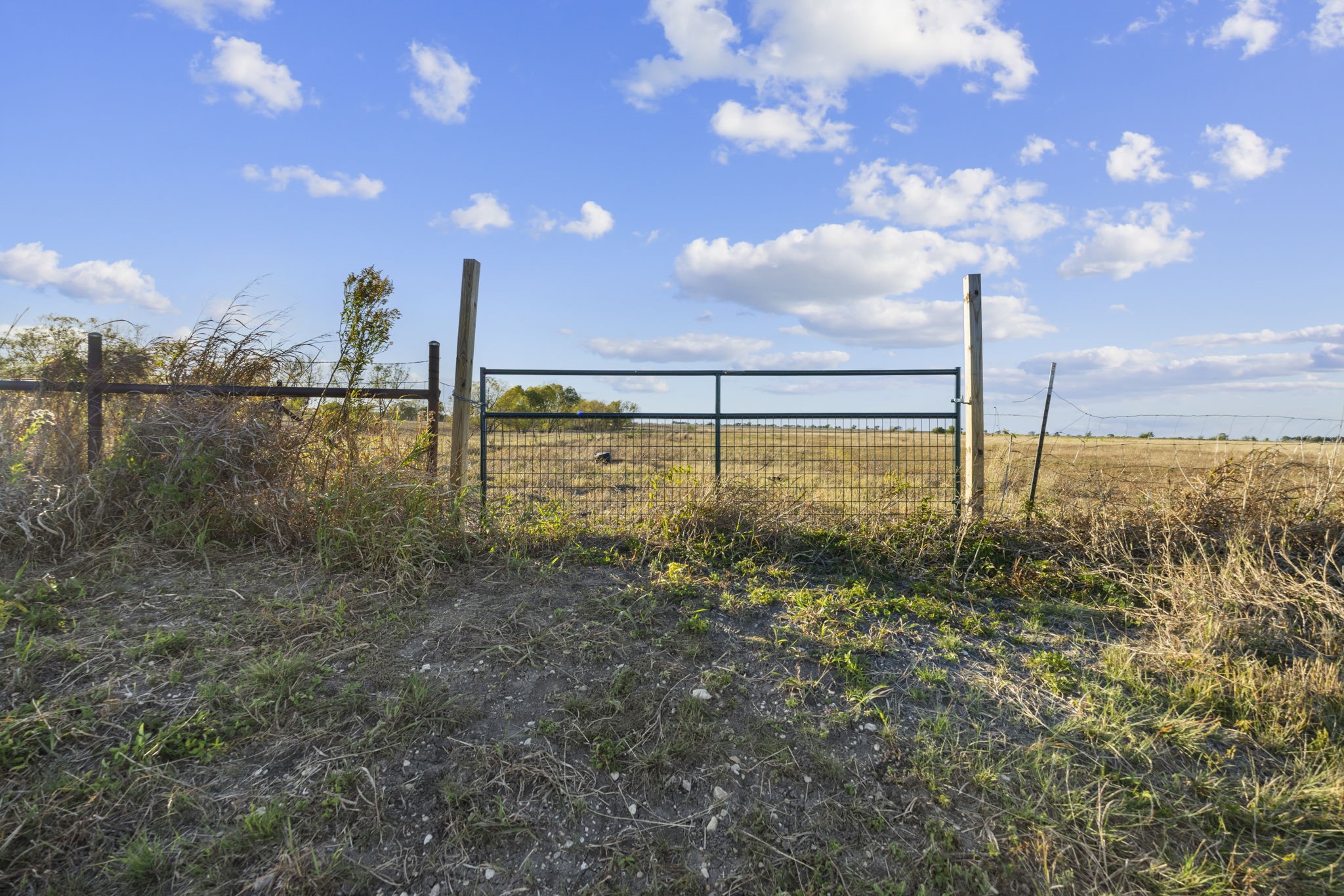 Tbd Krause Road Holland TX 76534
