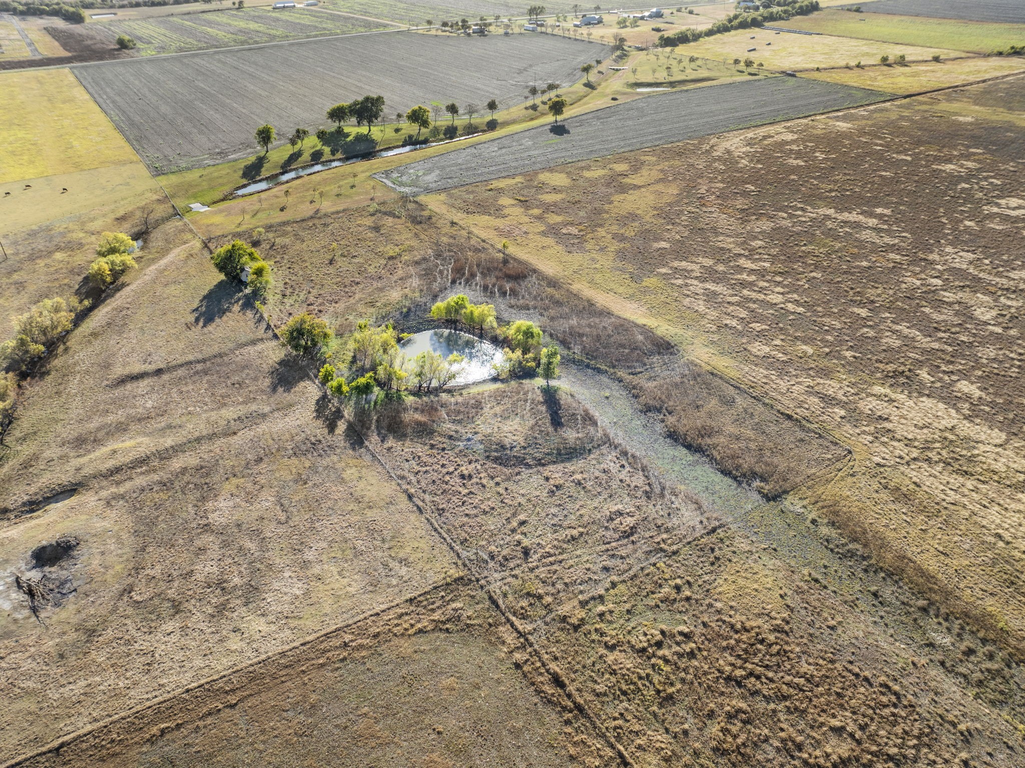 Tbd Krause Road Holland TX 76534