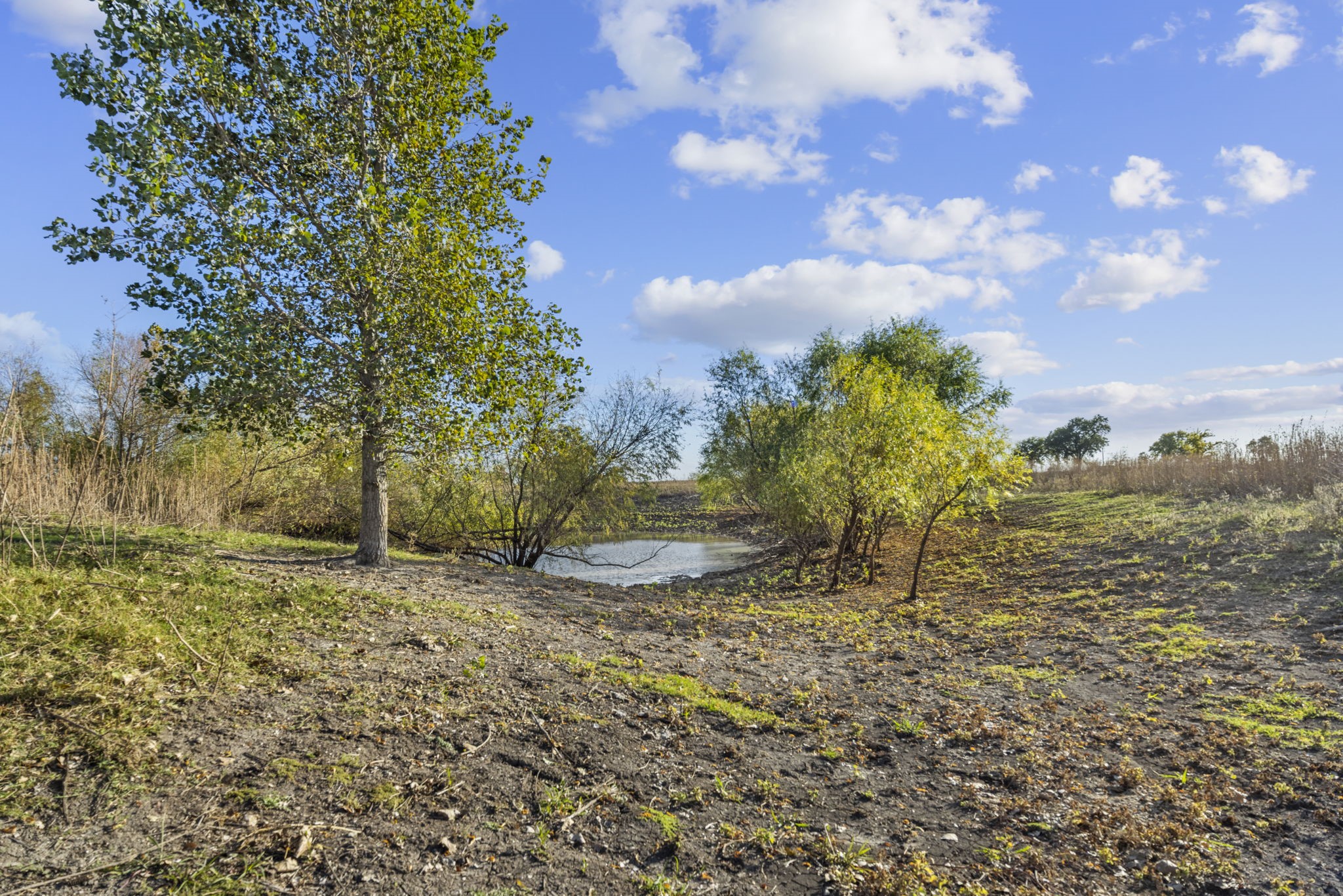 Tbd Krause Road Holland TX 76534