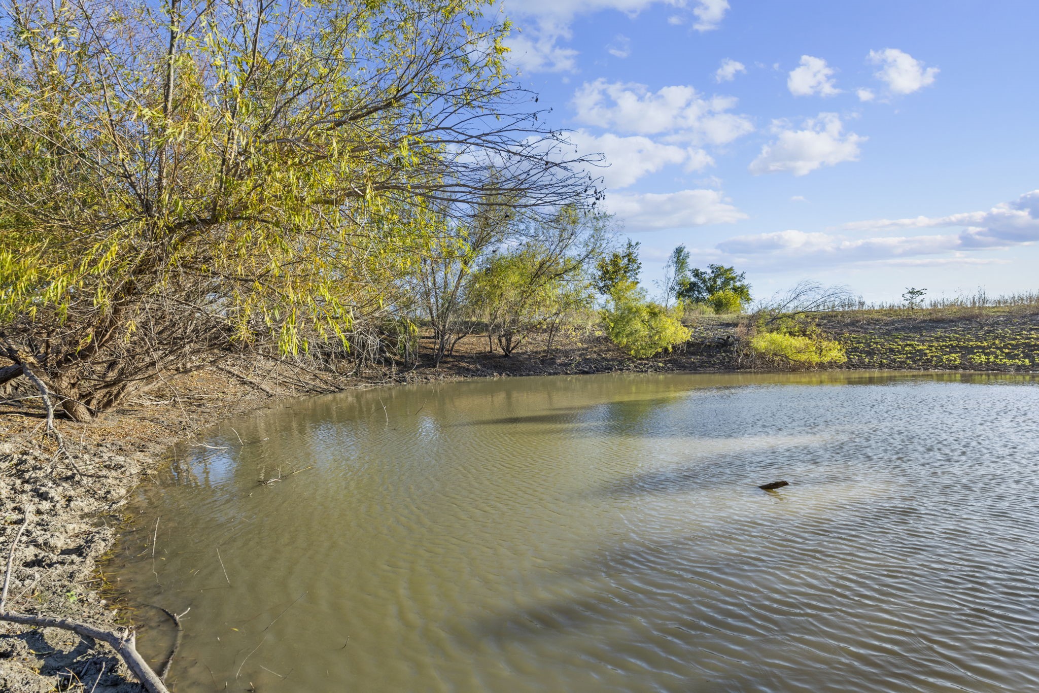 Tbd Krause Road Holland TX 76534