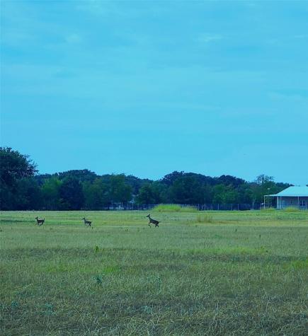 Tract 6 Cr 4048 Kemp TX 75143