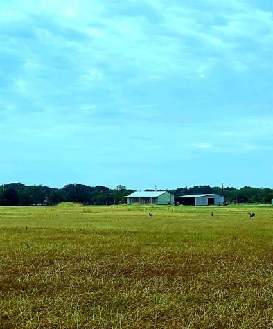 Tract 6 Cr 4048 Kemp TX 75143