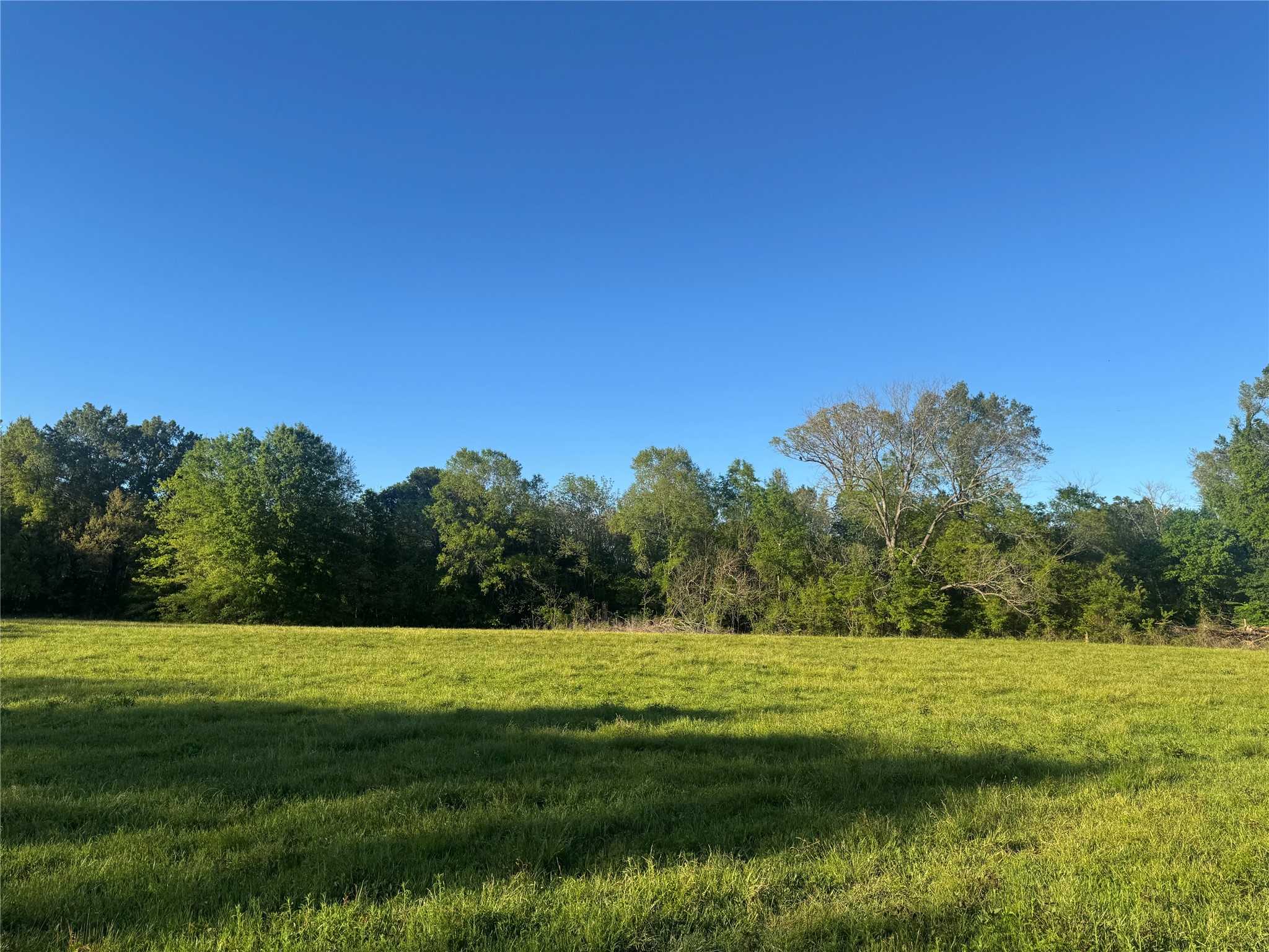 0000 N Highway 271 Talco TX 75487