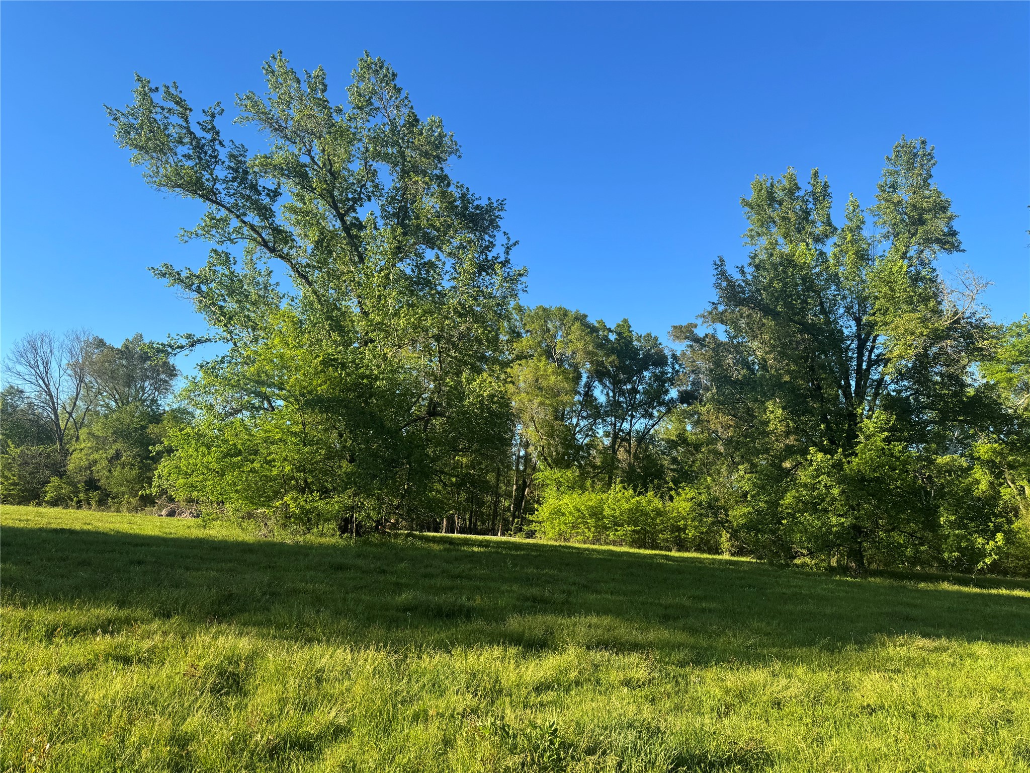 0000 N Highway 271 Talco TX 75487