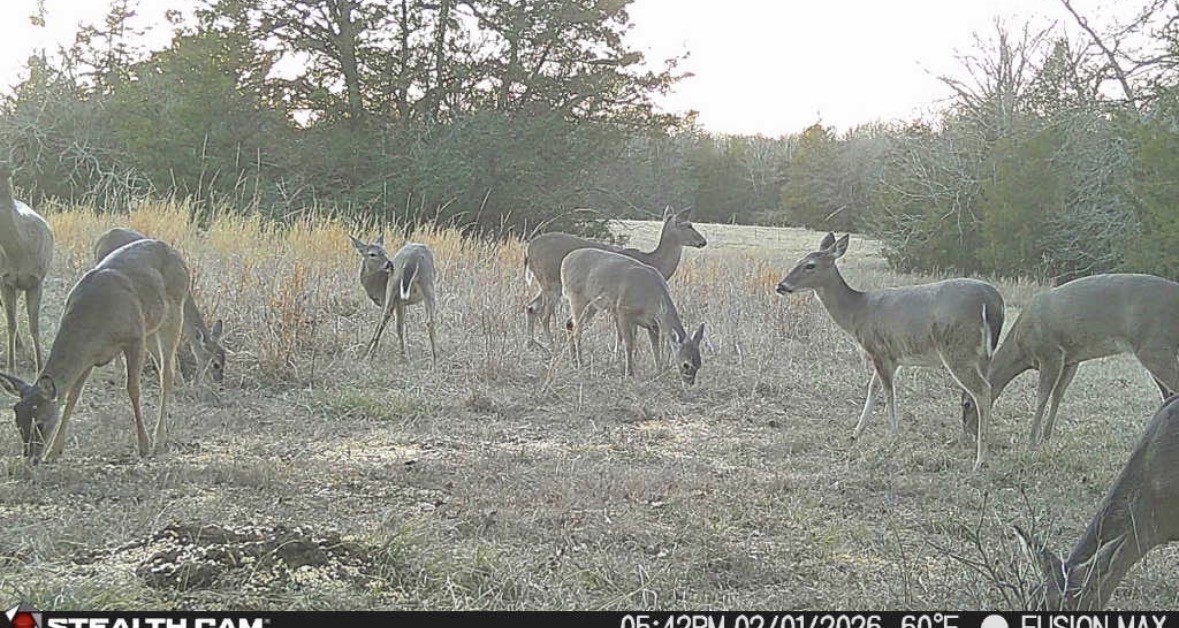 0000 N Highway 271 Talco TX 75487