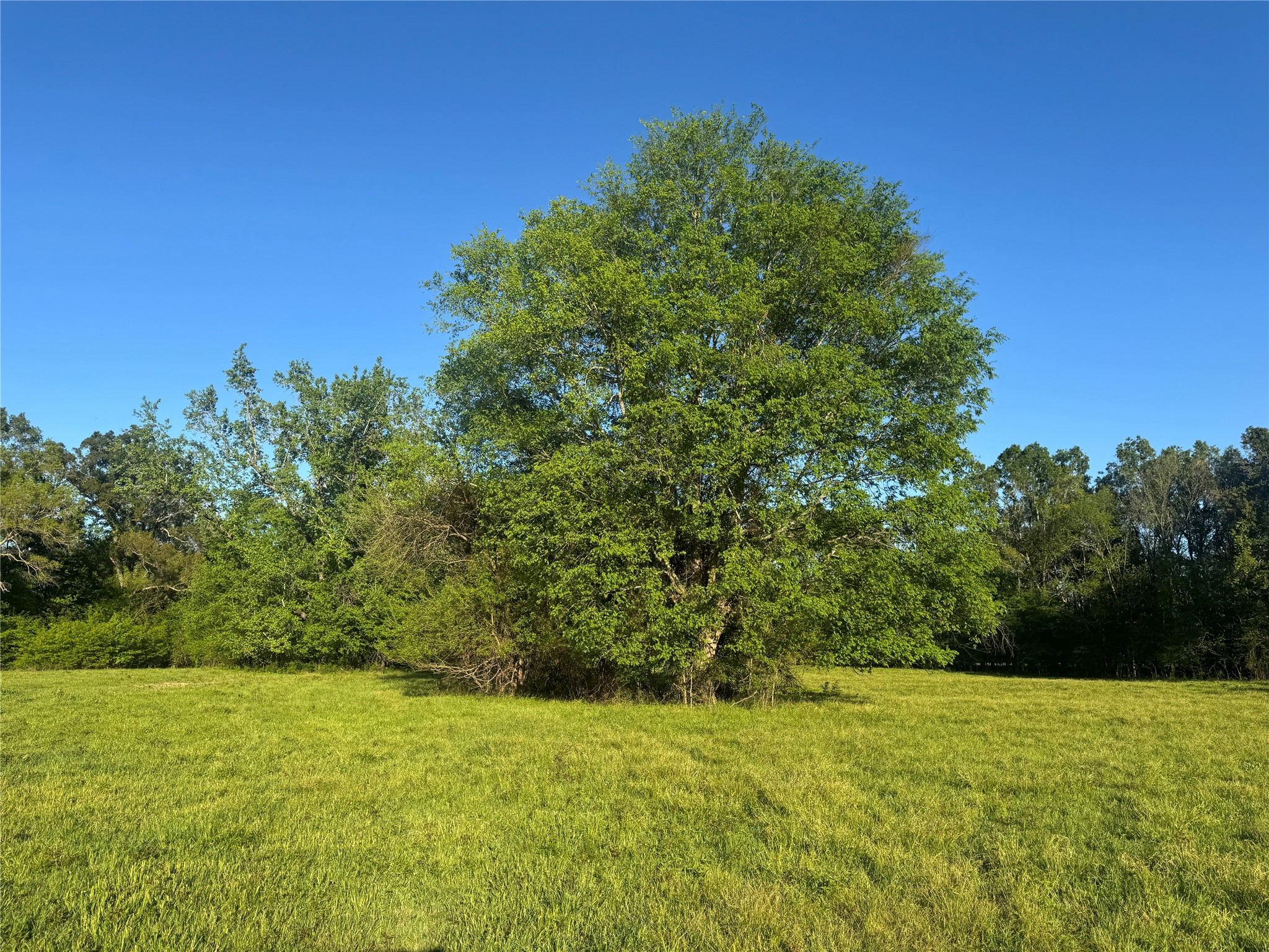 0000 N Highway 271 Talco TX 75487