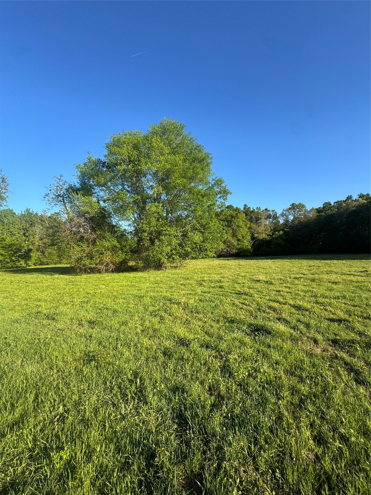 0000 N Highway 271 Talco TX 75487