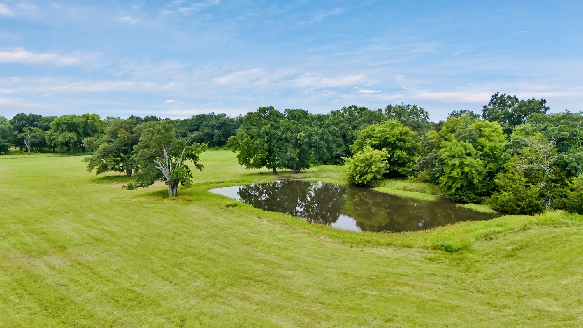 8244 S Fm 148 Scurry TX 75158